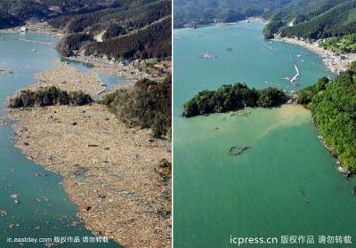 点击查看完整图片
