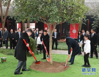 点击查看完整图片